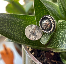 Load image into Gallery viewer, "Lasso The Leaf Studs"