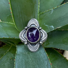 Load image into Gallery viewer, "Nocturnal Navigation"