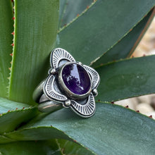 Load image into Gallery viewer, "Nocturnal Navigation"