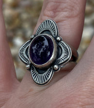 Load image into Gallery viewer, "Nocturnal Navigation"