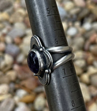 Load image into Gallery viewer, "Nocturnal Navigation"