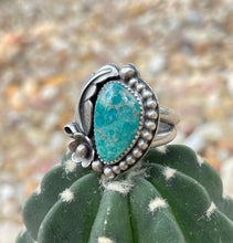 Load image into Gallery viewer, "Spring Fed"