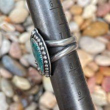 Load image into Gallery viewer, "Spring Fed"