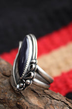 Load image into Gallery viewer, "Midnight Wanderer"