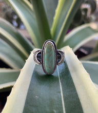 Load image into Gallery viewer, "Leafy Green"