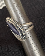 Load image into Gallery viewer, "Midnight Wanderer"