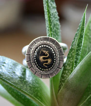 Load image into Gallery viewer, "Enter the Dragon"