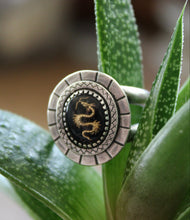 Load image into Gallery viewer, "Enter the Dragon"