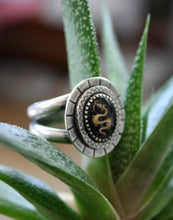 Load image into Gallery viewer, "Enter the Dragon"