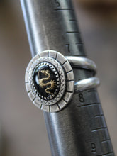 Load image into Gallery viewer, "Enter the Dragon"