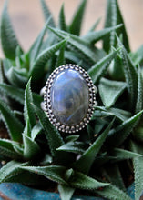 Load image into Gallery viewer, "Elegante"