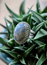 Load image into Gallery viewer, "Elegante"