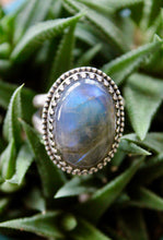 Load image into Gallery viewer, "Elegante"