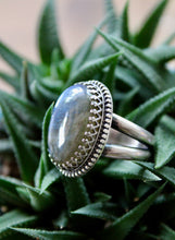 Load image into Gallery viewer, "Elegante"