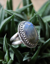 Load image into Gallery viewer, "Elegante"