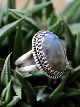 Load image into Gallery viewer, "Elegante"