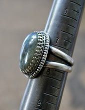 Load image into Gallery viewer, "Elegante"