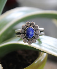 Load image into Gallery viewer, "Petal Pusher"