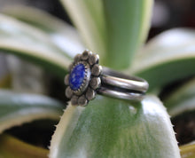 Load image into Gallery viewer, "Petal Pusher"