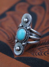 Load image into Gallery viewer, "Sunny Skies"