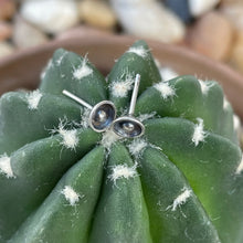 Load image into Gallery viewer, "Tiny Ball and Cup Studs"