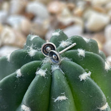 Load image into Gallery viewer, "Tiny Ball and Cup Studs"