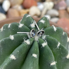 Load image into Gallery viewer, "Tiny Ball and Cup Studs"