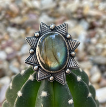 Load image into Gallery viewer, “Star Studded”