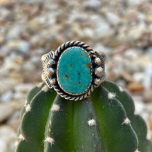 Load image into Gallery viewer, "Turquoise For All"