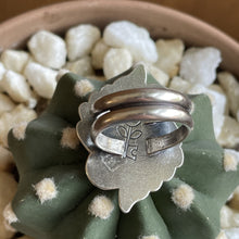 Load image into Gallery viewer, "Blazing Autumn"