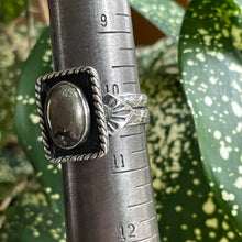 Load image into Gallery viewer, "Gilded"