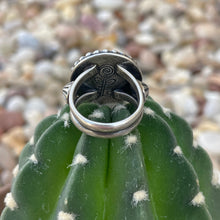 Load image into Gallery viewer, "Center Stage"