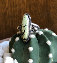 Load image into Gallery viewer, "Sweet Venom"