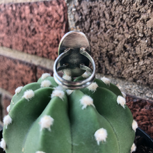 Load image into Gallery viewer, "Lady Lab"