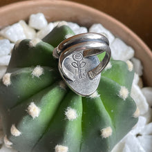 Load image into Gallery viewer, "Desert Rose"