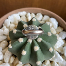 Load image into Gallery viewer, "Perfect Peak"