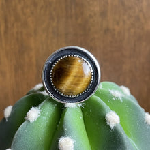 Load image into Gallery viewer, "Eyes Open"