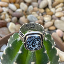 Load image into Gallery viewer, "Timeline"