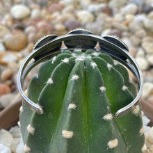 Load image into Gallery viewer, "Miss Mary Mack"