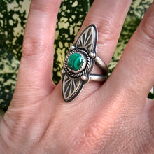 Load image into Gallery viewer, "Cut Them Down"