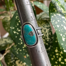 Load image into Gallery viewer, "Midevil Mama"