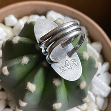 Load image into Gallery viewer, "Sunset on a Slant"