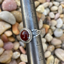 Load image into Gallery viewer, "Bite The Bullet"