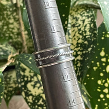 Load image into Gallery viewer, "Big Boss"