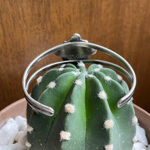 Load image into Gallery viewer, "Legacy"