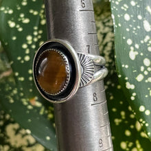 Load image into Gallery viewer, "Eyes Open"