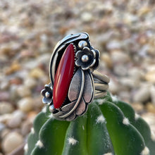 Load image into Gallery viewer, "Painting The Roses Red"