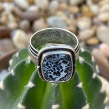 Load image into Gallery viewer, "Timeline"