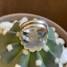 Load image into Gallery viewer, "Wild Time"