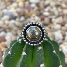 Load image into Gallery viewer, "Center Stage"